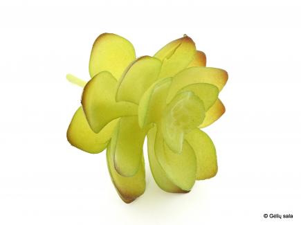 Succulent Pick