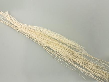 White lady special bleach