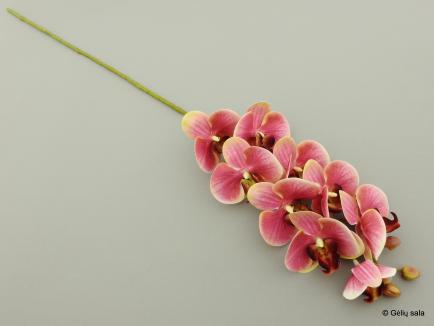 Dirbtinė gėlė - orchidėja Phalaenopsis