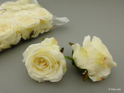 Rose head Big New Cream