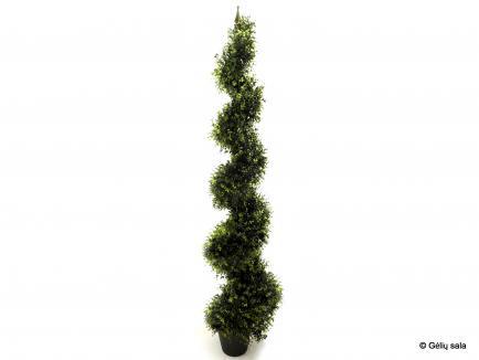 Dirbtinis buksmedis spiralės forma 180cm