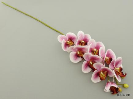 Dirbtinė gėlė - orchidėja Phalaenopsis