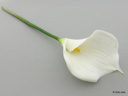 Dirbtinė gėlė - kalija didelė