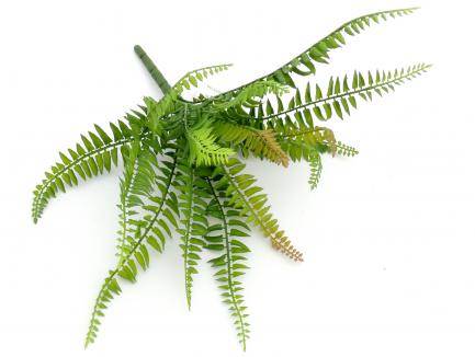 Plastic Fern  X15