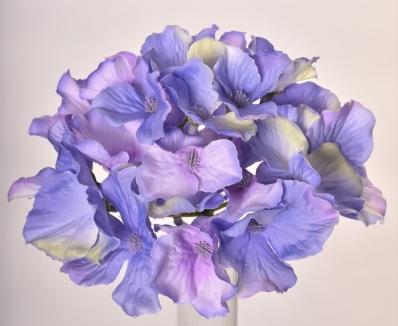 Hortenzijos žiedas Violet
