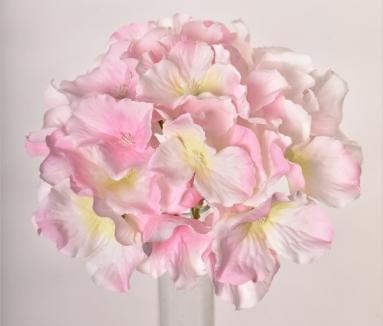 Hortenzijos žiedas Sweet Pink/Lt.Green