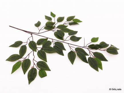 Fikuso lapai