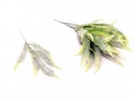 Dirbtinė žaluma - papartis