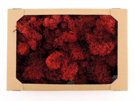 Samana nordico rosso su bianco